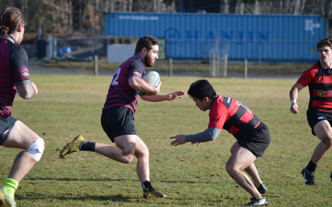 Strong start to the spring rugby season